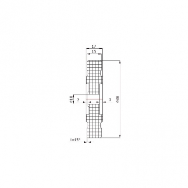 Plastikinis 80 mm diametro ratukas be guolio (17 mm ašis)