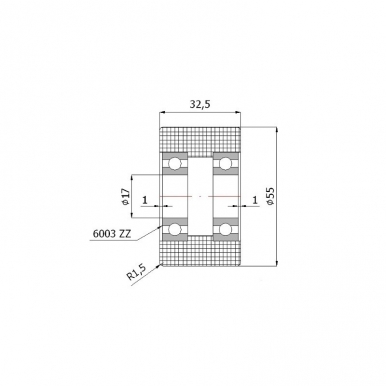 Plastikinis 55 mm diametro ratukas su dviems guoliais (17 mm ašis)