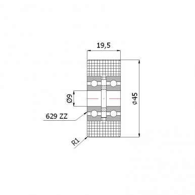 Plastikinis 45 mm diametro ratukas su dviems guoliais (9 mm ašis)